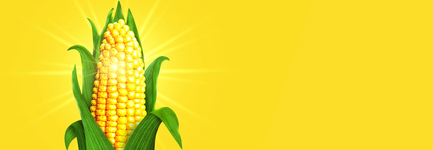 Corn